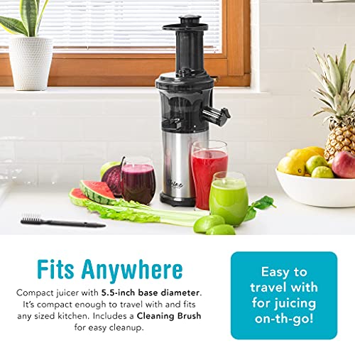 Shine Kitchen Co. by Tribest SJV-107-A Slow Juicer, 5.5 x 5.2 x 19.5, Silver, Black
