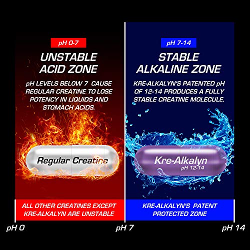 All American EFX Kre-Alkalyn for Muscle Growth & Performance - 20 MORE FREE, 192 Total