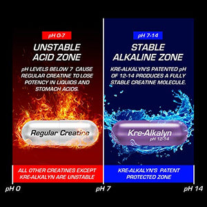 All American EFX Kre-Alkalyn for Muscle Growth & Performance - 20 MORE FREE, 192 Total