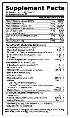 NutraBio PRE Workout Powder - Sustained Energy, Mental Focus, Endurance - Clinically Dosed Formula - Beta Alanine, Creatine, Caffeine, Electrolytes - 20 Servings - Watermelon