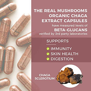 Real Mushrooms Chaga Capsules for Digestive Health and Immune Support (120ct) Vegan, Non-GMO Chaga Extract Supplements, Verified Levels of Beta-Glucans