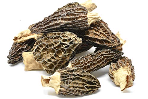 Slofoodgroup Dried Morel Mushrooms (Morchella Conica) Gourmet Morel Mushrooms (1 Lb ) Morel Mushrooms