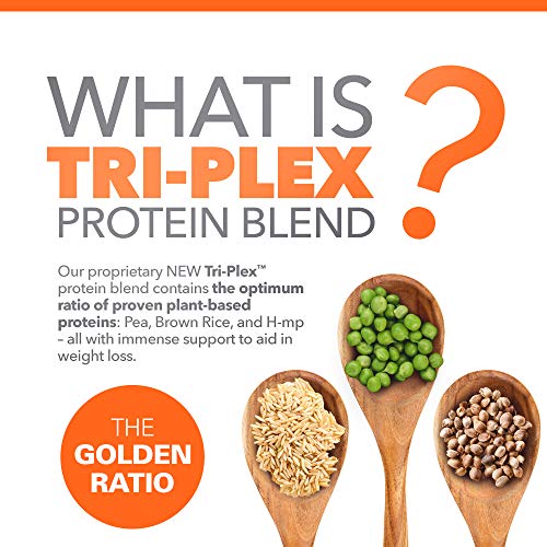 Vegan Organic Plant Protein Powder and Meal Replacement Shake - By 310 Nutrition - Gluten, Dairy and Soy Free - 0g of Sugar | Keto and Paleo Friendly… (Pumpkin Spice, 14 Servings)