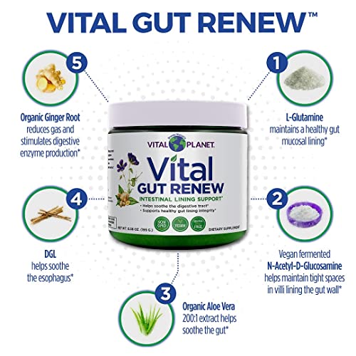 Vital Planet - Vital Gut Renew Powder Supplement Formulated with L-glutamine and Organic Aloe Vera for Intestinal Lining Support 6.88 oz