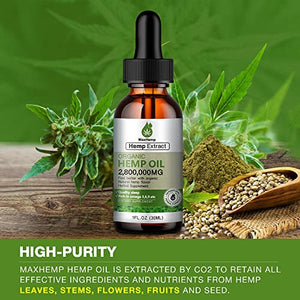 (2 Pack) High Potency Hemp Oil for Pain Relief and Inflammation - Supports Anxiety Sleep Stress Mood Focus - Maximum Strength Extract - Zero CBD Oil Tincture Drops - Organic Herbal Supplement