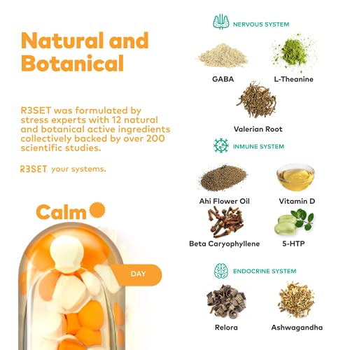 R3SET Double Pack Calm Day Stress & Anxiety Relief Supplement, Calm & Focus, with Ashwagandha, L-Theanine, Vitamin D, Valerian, Omega-3, 28 Veg Caps