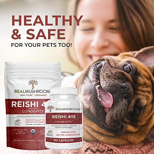 Real Mushrooms Reishi Mushroom Capsules for Longevity (90ct) Vegan, Non-GMO Reishi Extract, Reishi Mushroom Supplement for Relaxation, Better Sleep, Overall Wellness, Also Safe for Pets