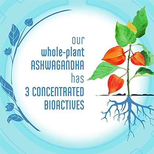 Stressballs De-Stress + Relax with Ashwagandha for Stress Relief Ginseng & Lemon Balm Herbal Blend Non-Drowsy Supplement Gummies, Lemon, 46 Count