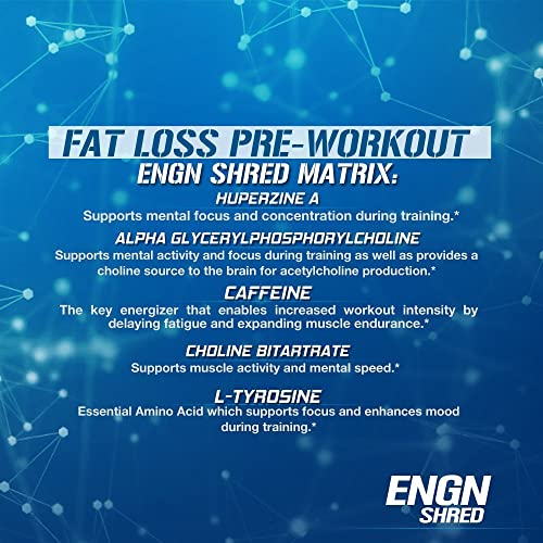 Evlution Nutrition ENGN Shred Pre Workout Powder, Energy, 30 Servings (Blue Raz)