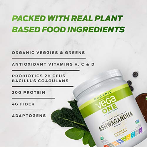 Vega One Organic Botanical Blends, Spiced Chai with Reishi, Plant Based Protein Powder with Adaptogens- Vegan Certified, Vegetarian, Gluten Free, Dairy Free, Non GMO (10 Servings, 12.7 Oz)