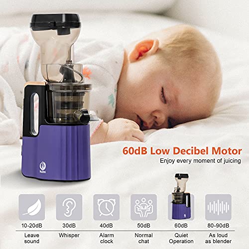 Slow Masticating Juicer High Yield,MOLTRES Cold Press Juicer Machine with Quiet Motor, Juicer Extractor with Reverse Function for Vegetables and Fruits Supplies a Brush Easy to Clean