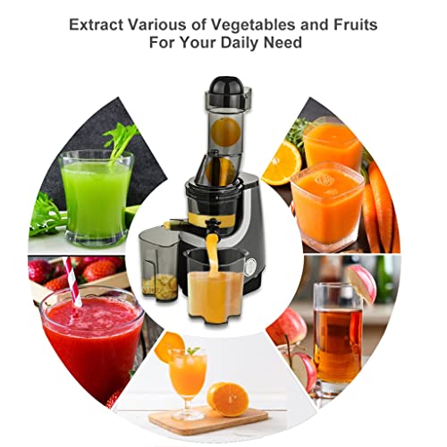 ZPDD Wide Chute Slow Masticating Juicer BPA Free Cold Press Juice Extractor for High Nutrient Fruit and Vegetable Juice