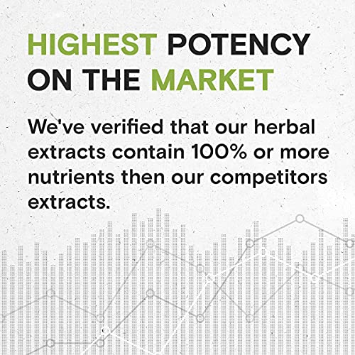 Yohimbe Alcohol-Free Liquid Extract, Wildcrafted Yohimbe (Pausinystalia yohimbe) Dried Bark Tincture Supplement (2x4 FL OZ)
