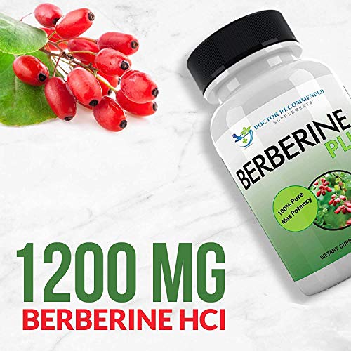 Berberine Plus 1200mg Per Serving - 120 Veggie Capsules Royal Jelly, Supports Glucose Metabolism, Healthy Immune System, Improves Cardiovascular Heart & Gastrointestinal Wellness