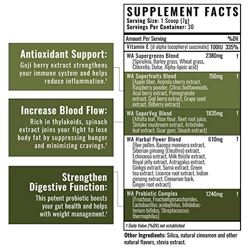 Wilderness Athlete - Green Infusion | Supergreen Superfood Power Greens Powder - Wheatgrass Powder with Astragalus Root, Green Tea Extract, & Chlorella - 30 Serving Tub (Chocolate Mint)