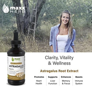Maxx Herb Astragalus Root Extract - Astragalus Tincture Absorbs Better Than Astragalus Capsules, Astragalus Extract for Immune Support and Mental Clarity - 4 Oz Bottle (60 Servings)