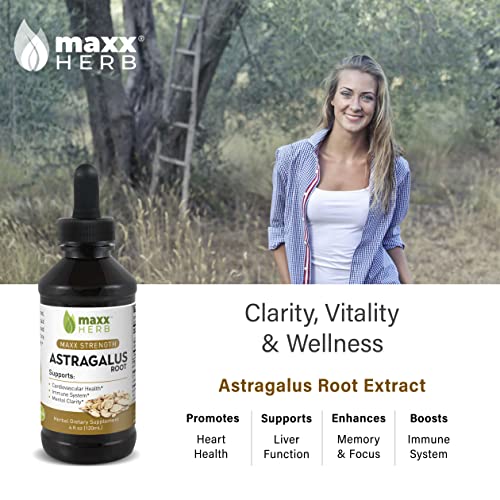 Maxx Herb Astragalus Root Extract - Astragalus Tincture Absorbs Better Than Astragalus Capsules, Astragalus Extract for Immune Support and Mental Clarity - 4 Bottles, 4 Oz Each (240 Servings)