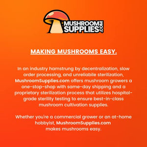 MushroomSupplies.com Sterilized Grain Bag for Mushroom Growing | Millet Substrate | 0.2 Micron Filter Mycobag Grow Kit | Mycology Cultivation Supplies (3LB)