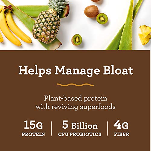 Amazing Grass DIGEST Vegan Protein Powder, Plant Based with Probiotics + Fiber to Manage Bloat, Mayan Chocolate, 15 Servings, 14.2 Ounce (Pack of 1)