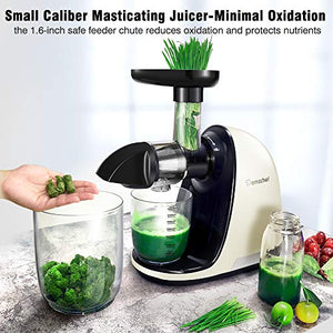 Slow Juicer,AMZCHEF Slow Masticating Juicer Extractor Easy to Clean, Cold Press Juicer Machines with Brush, Juice Extractor with Quiet Motor & Reverse Function, for High Nutrient Fruit & Vegetable Juice