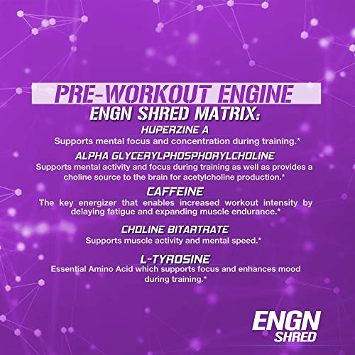 Evlution Nutrition ENGN Shred Pre Workout Powder, Energy, 30 Servings (Grape)