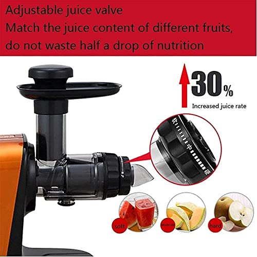 BXZYYL Juicer, Slow Masticating Juicer Extractor with Reverse Function, Cold Press Juicer Machine with Quiet Motor, Juice Jug for Vegetables and Fruits