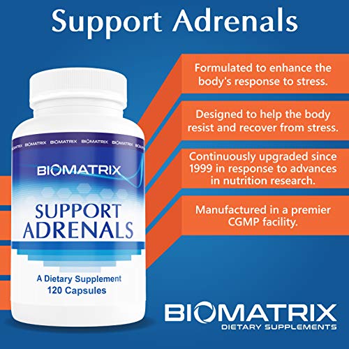 Supplement for Adrenal Health, DHEA, Pregnenolone, 5-MTHF, B Vitamins, Vitamin C, Adaptogens - for Fatigue, Stress, Hormone Balance - 120 Count Vegetarian Caps