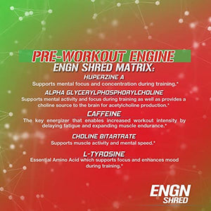 Evlution Nutrition ENGN Shred Pre Workout Powder, Energy, 30 Servings (Cherry Limeade)