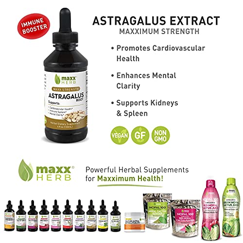 Maxx Herb Astragalus Root Extract - Astragalus Tincture Absorbs Better Than Astragalus Capsules, Astragalus Extract for Immune Support and Mental Clarity - 4 Bottles, 4 Oz Each (240 Servings)