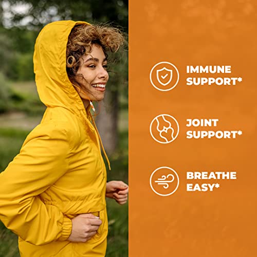 Turmeric Curcumin Quercetin with Bromelain and BioPerine Supplement - Balance and Support for Immune System and Inflammation. Occasional Joint Discomfort Relief. 60 Vegan Capsules for Adults