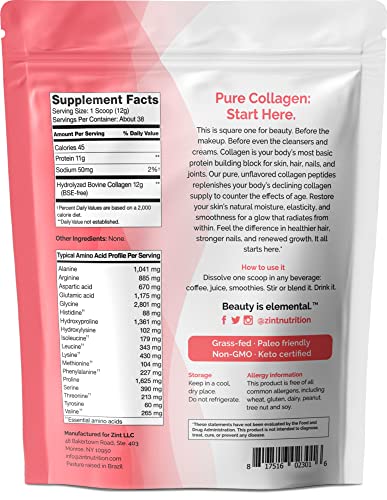 Zint Collagen Hydrolysate Protein Powder | Certified Paleo Friendly | Collagen Supplements for Men and Women Types I & III, 16 oz (2 Pack 32oz Total)