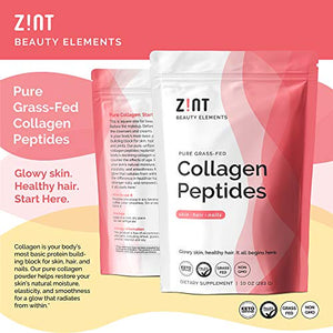 Zint Keto Collagen Protein Powder for Anti-Aging (64oz Total) - Grass Fed Hydrolyzed Collagen Peptides Types I & III, 32 oz (2 Pack)