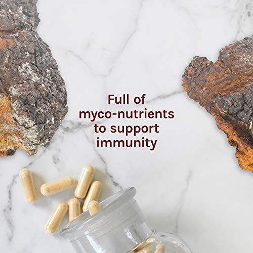 Host Defense, Chaga Capsules, Antioxidant and DNA Support, Daily Mushroom Supplement, Vegan, Organic, 120 Capsules (60 Servings)
