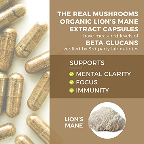 Lions Mane Mushroom Cognition Capsules (120 Capsules) Lions Mane Mushroom Powder Extract Capsules | Brain Supplement, Brain Vitamins, Focus Supplement