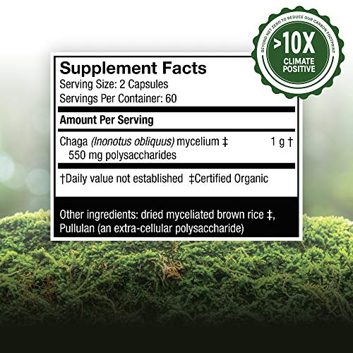 Host Defense, Chaga Capsules, Antioxidant and DNA Support, Daily Mushroom Supplement, Vegan, Organic, 120 Capsules (60 Servings)