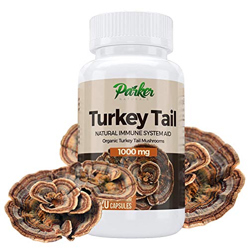 Premium Organic Turkey Tail Mushroom Capsules by Parker Naturals Supports Immune System Health. Nature's Original Superfood. 120 Capsules …