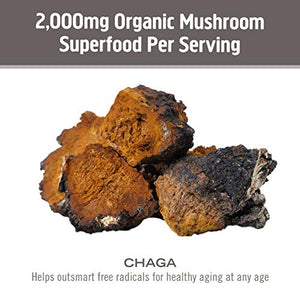 Om Mushroom Superfood Chaga Mushroom Capsules Superfood Supplement, 90 Count, 30 Days, US Grown, Sacred Antioxidants & Immune Support, Superfood Mushroom Supplement