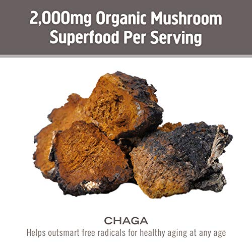 Om Mushroom Superfood Chaga Organic Mushroom Powder, 3.5 Ounce, 50 Servings, US Grown, Sacred Antioxidants & Immune Support, Superfood Mushroom Supplement