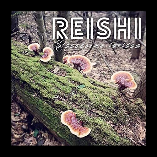 North Spore Reishi Mushroom Plugs, Lucidum Species, 500 Count Premium Quality Mushroom Plug Spawn, Made in USA, Grow Mushrooms on Logs, Gourmet Mushrooms for Tea & Tinctures, Medicinal Mushrooms