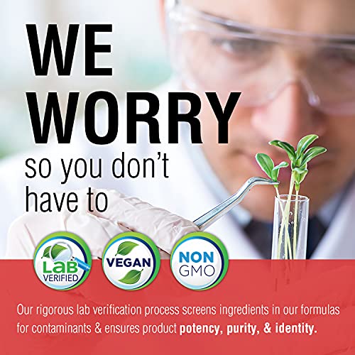 Solaray Pure GutShield Powder | Digestive Gut Health Support for Adults | L-Glutamine, Vitamin C, Zinc | 150g, 30 Serv.