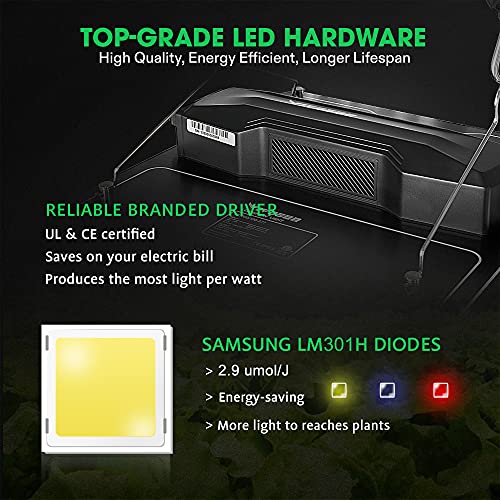 VIVOSUN Grow Tent Complete System, 4x4 Ft. Growing Tent Kit Complete with VS1000 Led Grow Light 6 Inch 440CFM Inline Fan Carbon Filter and 8ft Ducting Combo, 48"x48"x80"