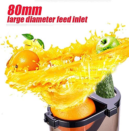 ZOUSHUAIDEDIAN Juicer, Slow Masticating Juicer Machine, Cold Press Juicer Extractor Easy to Clean, Quiet Motor, Reverse Function Anti-Clogging, with Brush (Multifunctional Juicer) (Color : Gold)