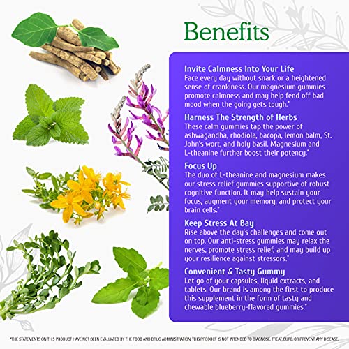 Wild & Organic Calm & Mood Support Gummies - Herbal Supplement with Magnesium, L-Theanine, Ashwagandha, Lemon Balm & Bacopa - Support Calmness, Alertness, Stress Relief - Vegan, Non-GMO - 60 Chews
