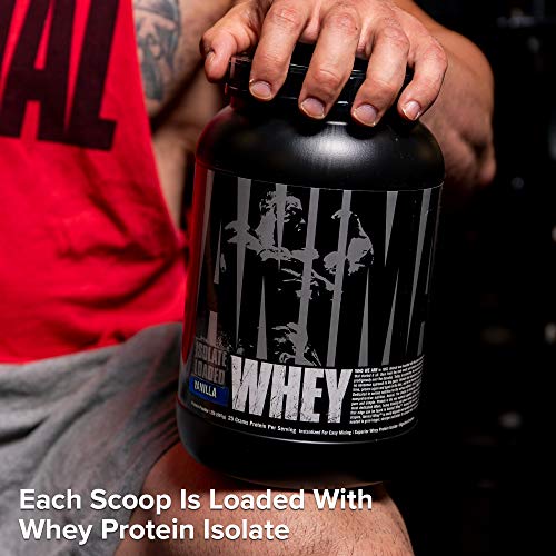 Animal, Whey Isolate Whey Protein Powder – Isolate Loaded for Post Workout and Recovery – Low Sugar with Highly Digestible Whey Isolate Protein Pounds, Vanilla, 32 Ounce