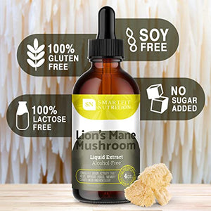 Lions Mane - Lions Mane Extract - Natural Lions Mane Tincture - Made in USA - Organic Lions Mane Mushroom Supplement for Memory, Focus & Clarity - Daily Mushroom Supplement - Vegan, Organic - 4 Fl Oz