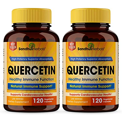 Quercetin Vegetarian Capsules 240 Count