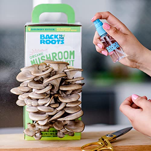 Back to the Roots Original Organic and Golden Oyster Mushroom Grow Kit - Grow Your Own Mushrooms at Home - 2-Pack Variety Plant Kit