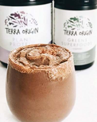 Terra Origin, Plant Protein, Powder, Vanilla Chai, 15 Servings Includes Organic Brown Rice Protein and Pea Protein Isolate, Vegan, Gluten Free, 18g Protein