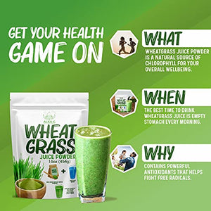 ALKA-G Wheat Grass Powder 16 Oz | Organic Wheat Grass Green Superfoods Powder Sustainably Grown in Indian | Instant Juice Powder Resealable Pack of 1