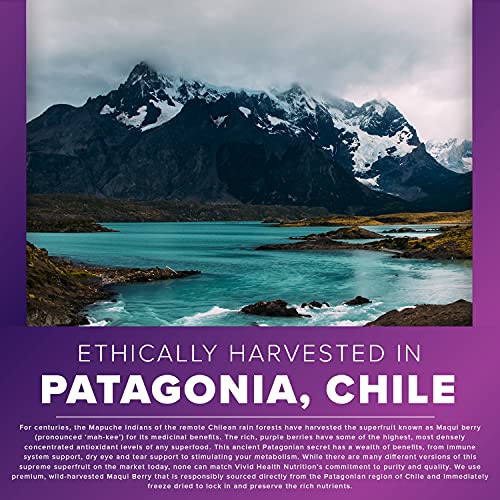 Pure Maqui Berry Extract Capsules | Pharmacist Recommended Formula for Antioxidant & Inflammation Support | Healthy Aging and Weight Loss Supplement | All Natural Superfood - 500mg, 30 caps